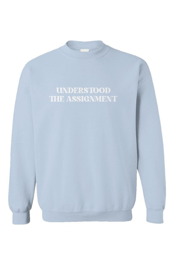 Understood the Assignment Light Blue Unisex Crewneck