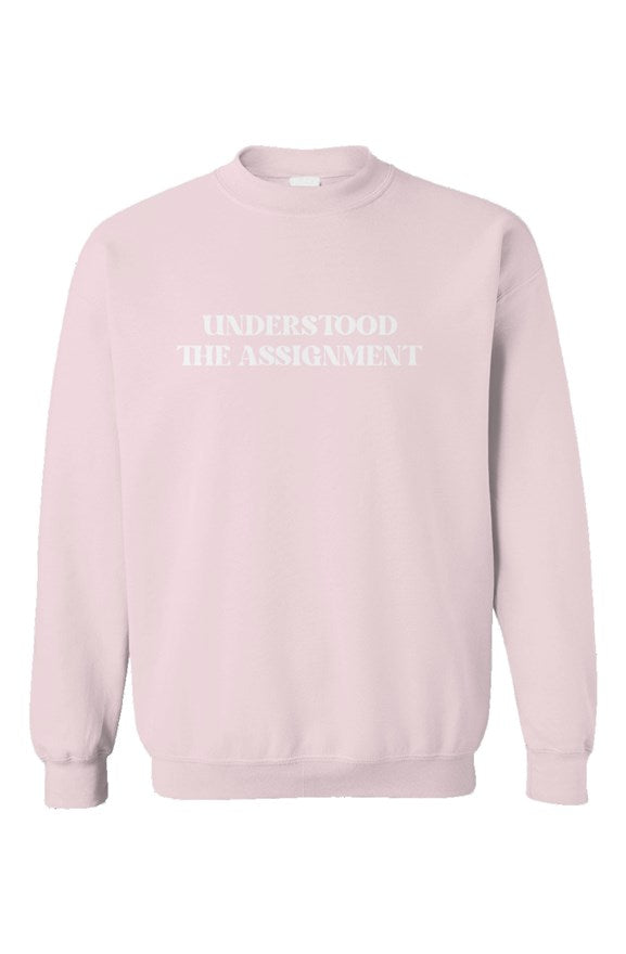 Understood the Assignment Light Pink Unisex Crewneck